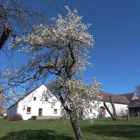 Appartement Spejchar