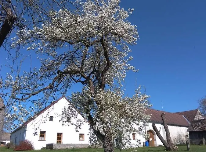 Διαμέρισμα Spejchar