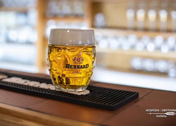 Διαμέρισμα Spejchar Kaclehy